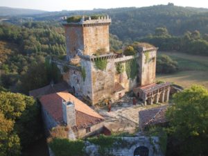 castilloo-de-pambre